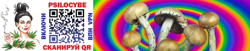 как найти   МЕГА ссылка  Псилоцибиновые грибы Cubensis  Тейково 